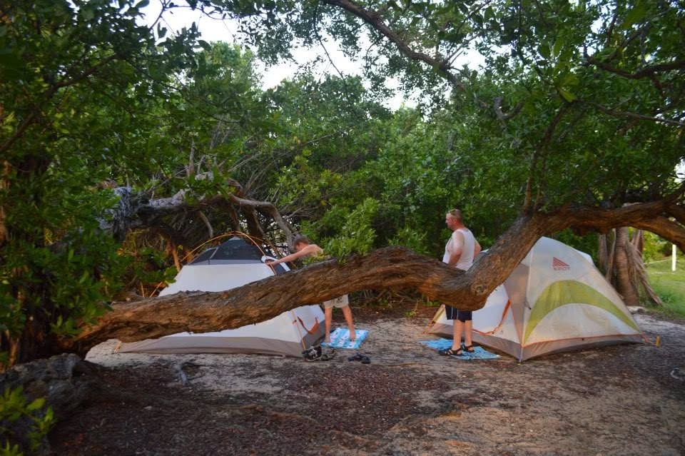 Two tents set up among trees